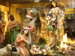 Herederas de la pasión Di fiore