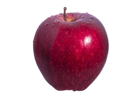 Imagen de Capri23auto en Pixabay.
