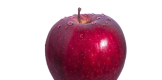 Imagen de Capri23auto en Pixabay.