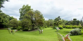 En La Era Plasteozoica: una eco-distopía animada, de los artistas visuales y arquitectas dominicanas Guadalupe Casasnovas y Victoria Thomen.