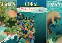 Exposición virtual: Turismo y Biodiversidad Coste