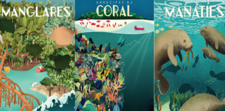 Exposición virtual: Turismo y Biodiversidad Coste