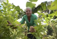 Supérate empodera a mujeres productoras en proyecto Agricultura Familiar