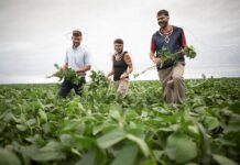 Syngenta presenta la plataforma #PROagricultor en República Dominicana