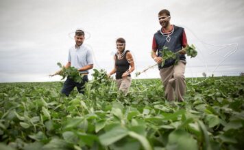 Syngenta presenta la plataforma #PROagricultor en República Dominicana