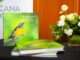 Fundación Puntacana presenta libro que celebra la biodiversidad de esa zona