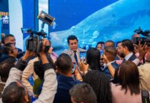 República Dominicana consolida su liderazgo en Colombia tras una exitosa participación en ANATO 2026