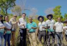 Seaboard realiza II jornada de reforestación en la Loma Guaigüí