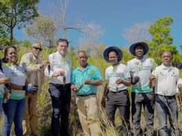 Seaboard realiza II jornada de reforestación en la Loma Guaigüí