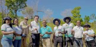 Seaboard realiza II jornada de reforestación en la Loma Guaigüí