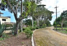 Cuatro décadas de abuso, abandono y promesas incumplidas