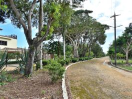 Cuatro décadas de abuso, abandono y promesas incumplidas