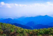 Sur Futuro fortalece brigadas voluntarias de control de incendios forestales