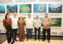 Luz y Fuerza inaugura la exposición fotográfica “Jardines de la Reina”